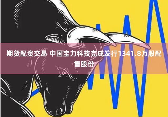 期货配资交易 中国宝力科技完成发行1341.8万股配售股份