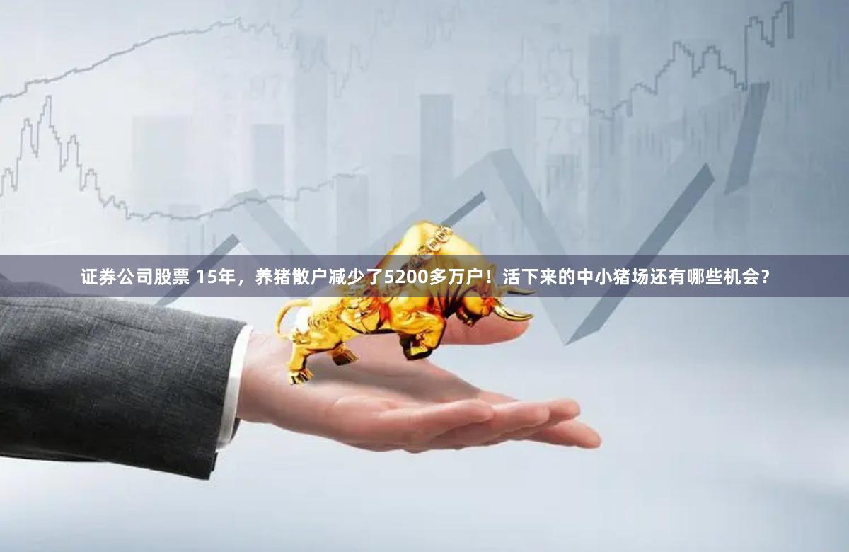 证券公司股票 15年，养猪散户减少了5200多万户！活下来的中小猪场还有哪些机会？