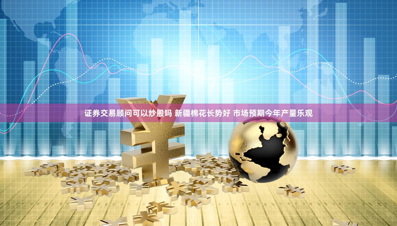 证券交易顾问可以炒股吗 新疆棉花长势好 市场预期今年产量乐观