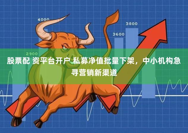 股票配 资平台开户 私募净值批量下架，中小机构急寻营销新渠道