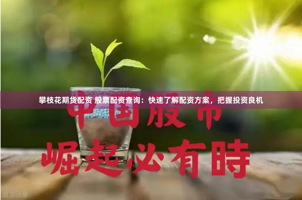 攀枝花期货配资 股票配资查询：快速了解配资方案，把握投资良机